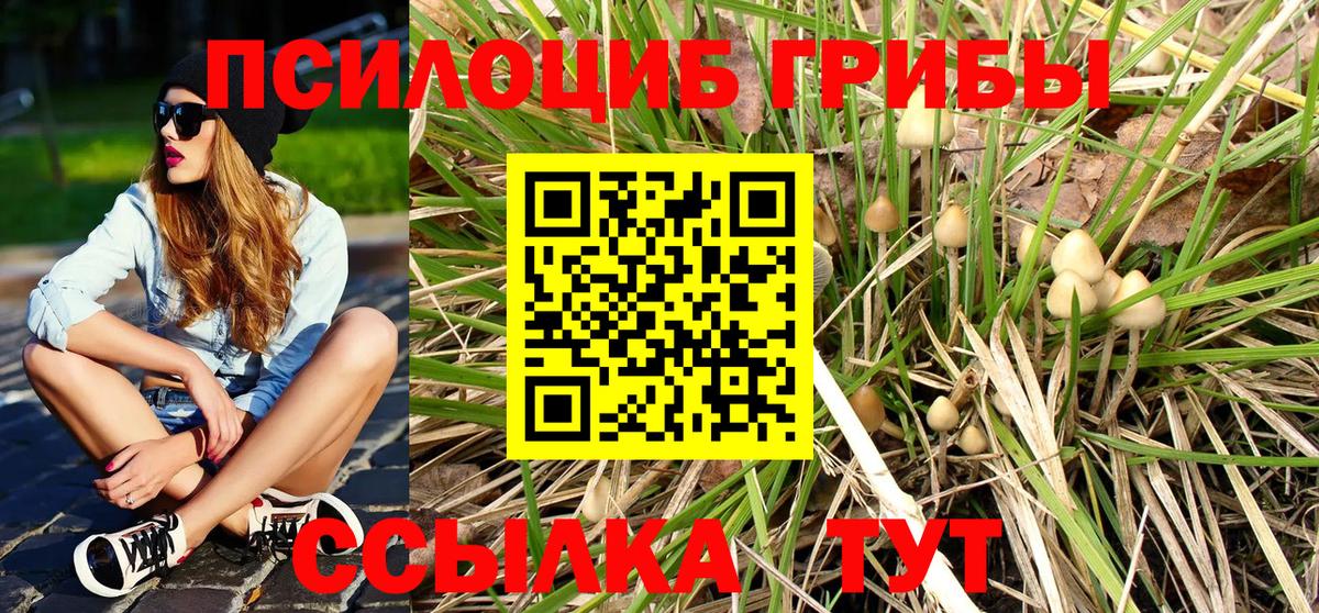 Псилоцибиновые грибы мицелий Великий Новгород