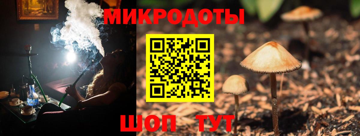 Псилоцибиновые грибы Psilocybe  Галлюциногенные грибы мицелий  Великий Новгород  Вход с VPN 